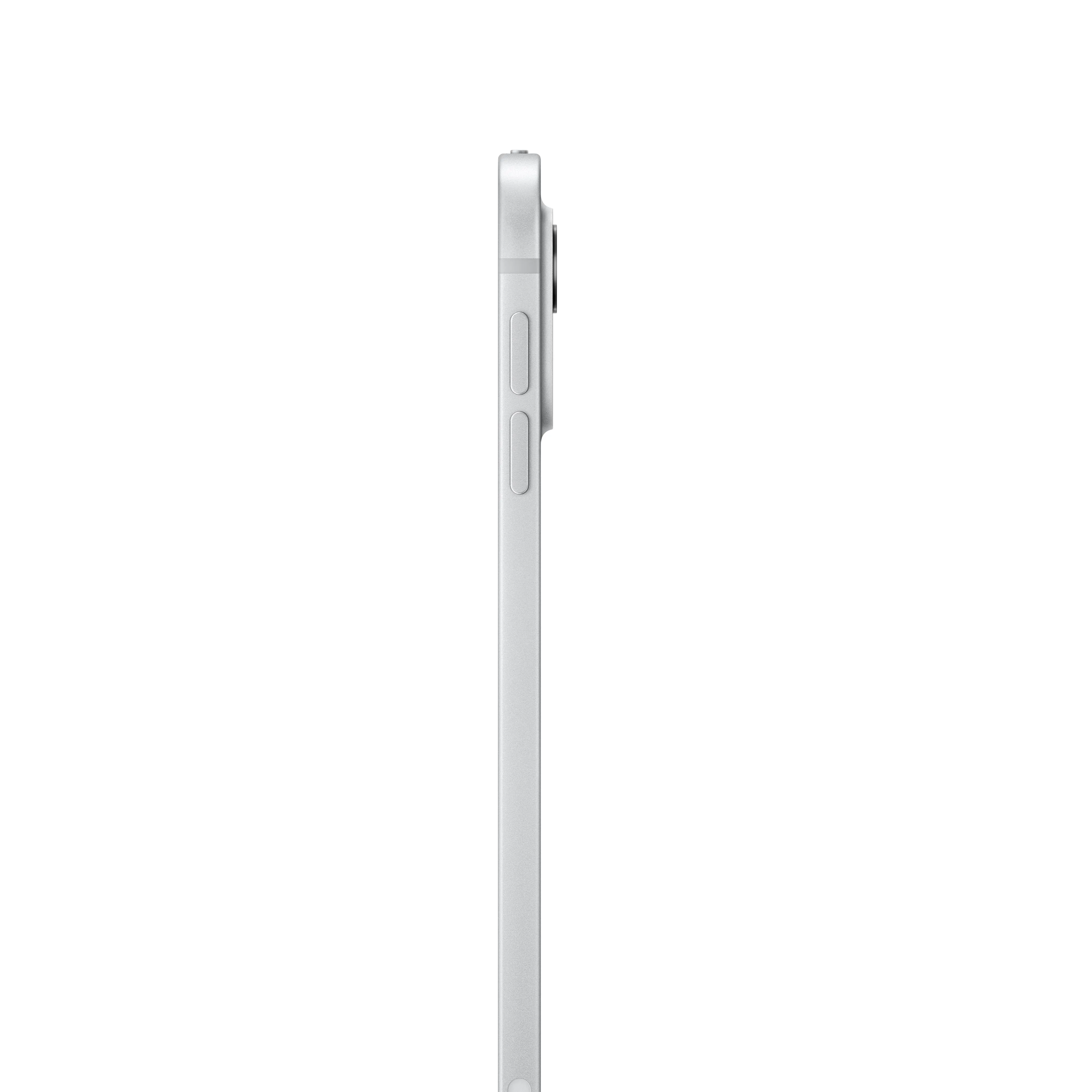 11-inch iPad Pro Wi-Fi 2TB Standard Glass - Silver (M4)