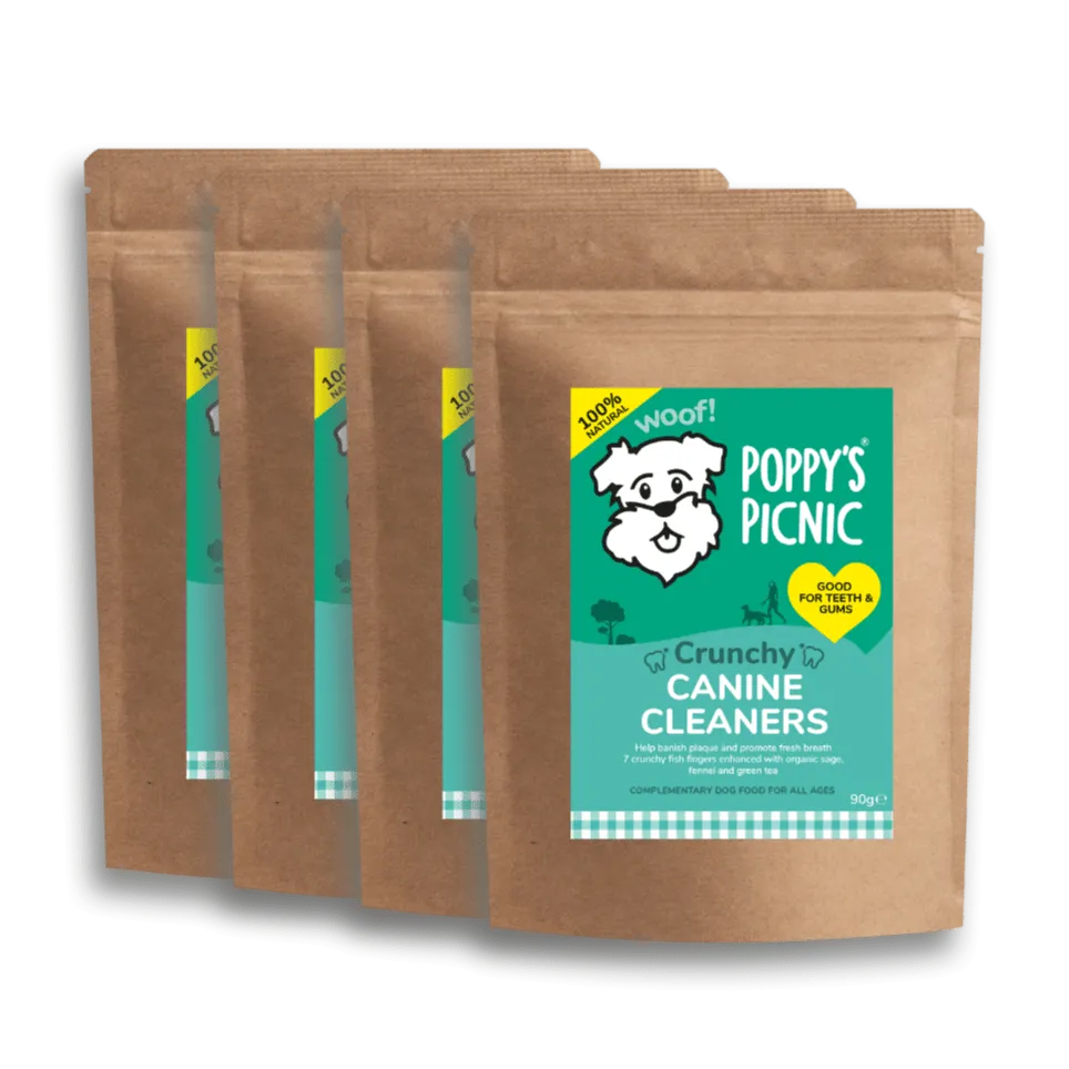 Canine Cleaners (1 month)