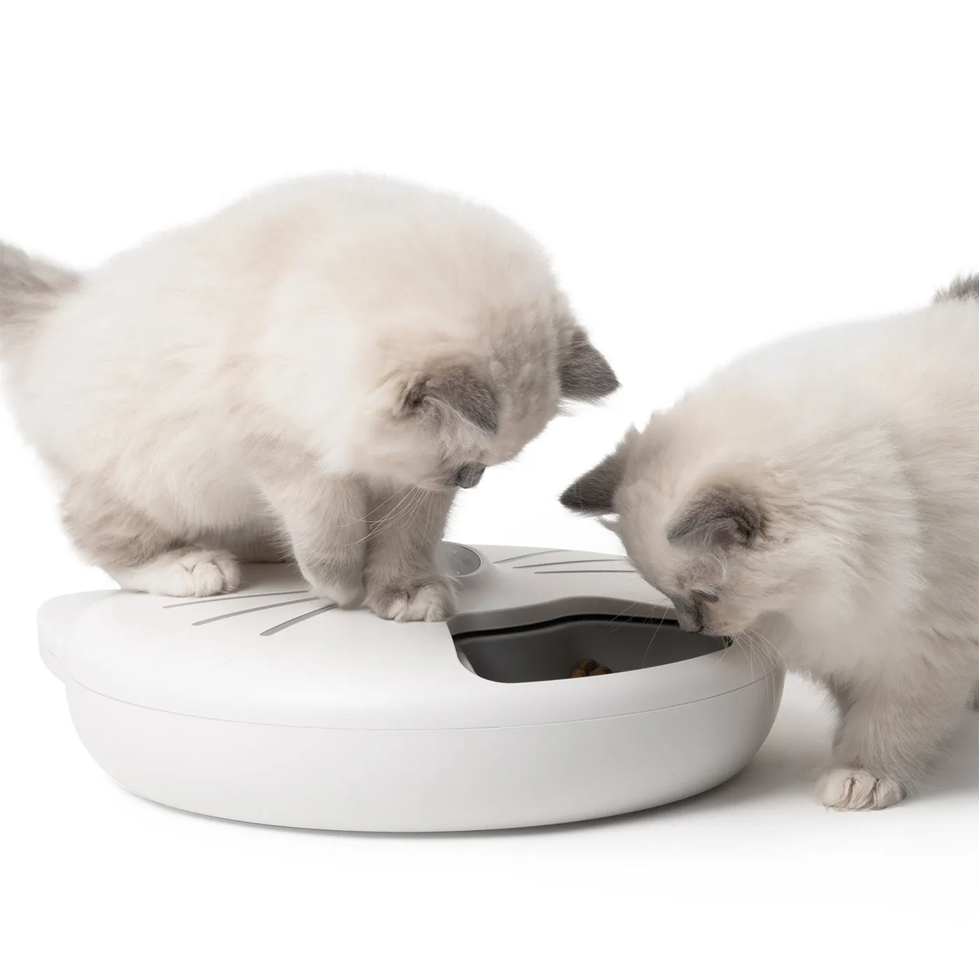 Catit Pixi Smart 6 Meal Feeder