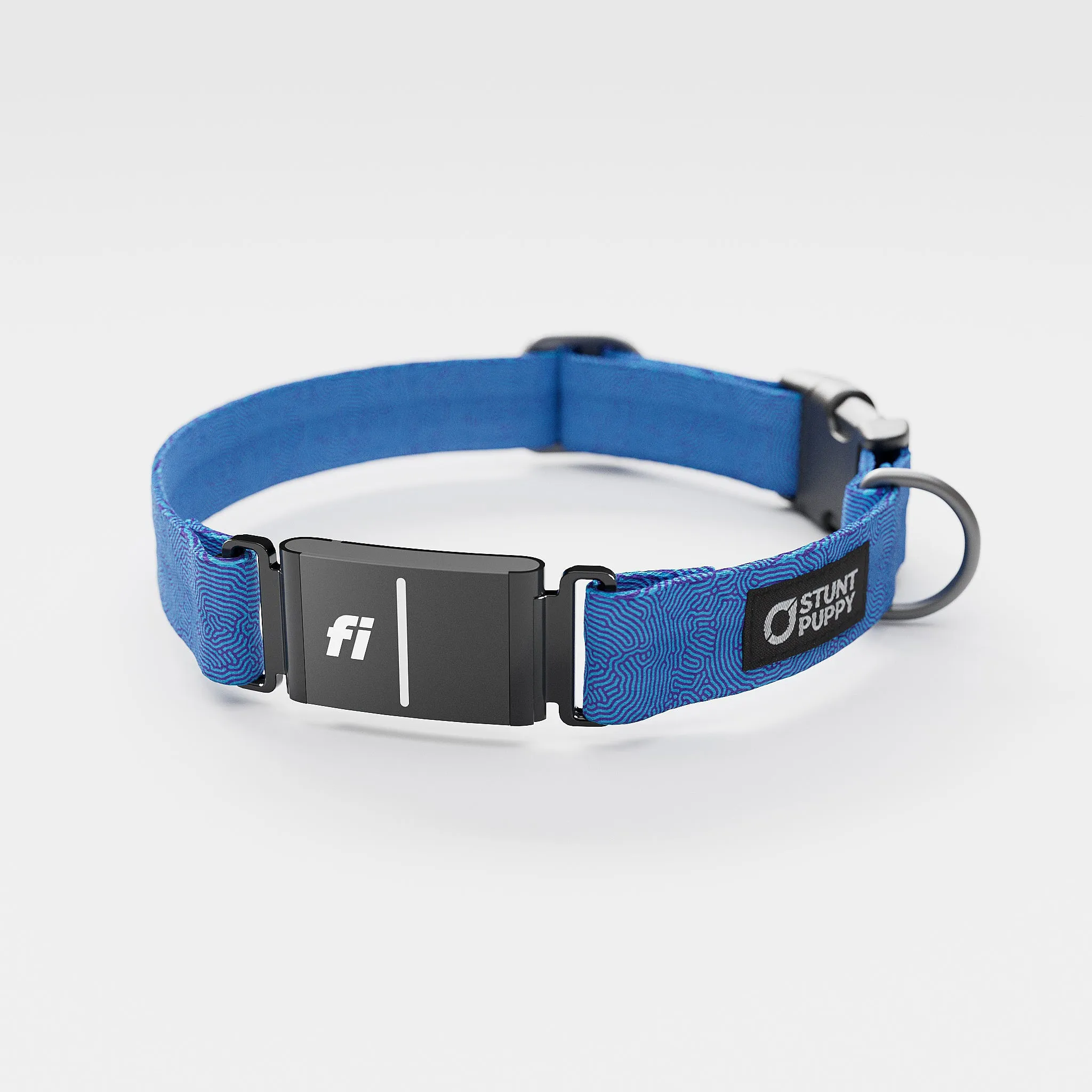 Fi GPS Included Petri Indigo Everyday Collar (6 month subscription)