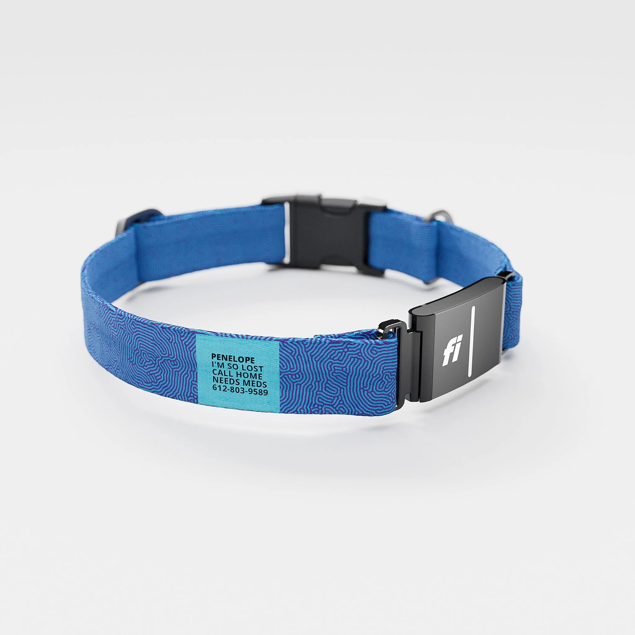 Fi GPS Included Petri Indigo Everyday Collar (6 month subscription)