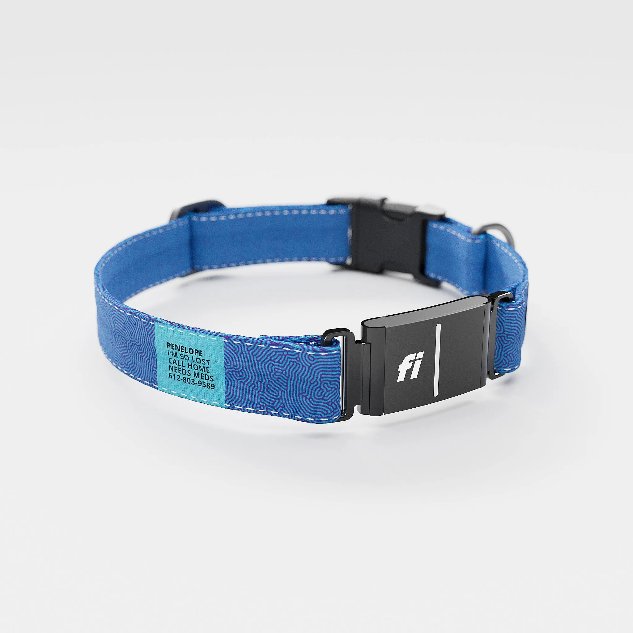 Fi GPS Included Petri Indigo Everyday Collar (6 month subscription)