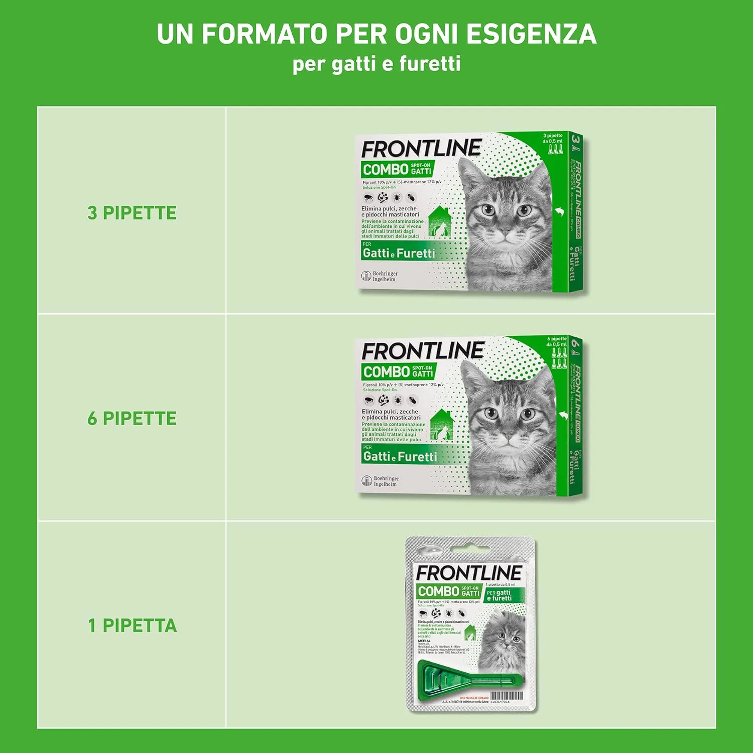 FRONTLINE Combo Gatto