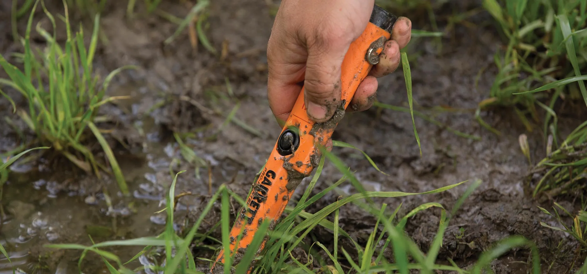 Garrett Pro-Pointer AT Pinpointing Metal Detector