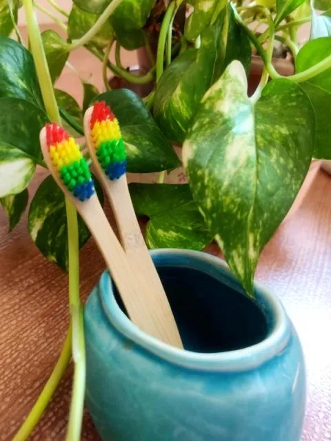 Natural Bamboo Toothbrush for Kids - Rainbow Bristles