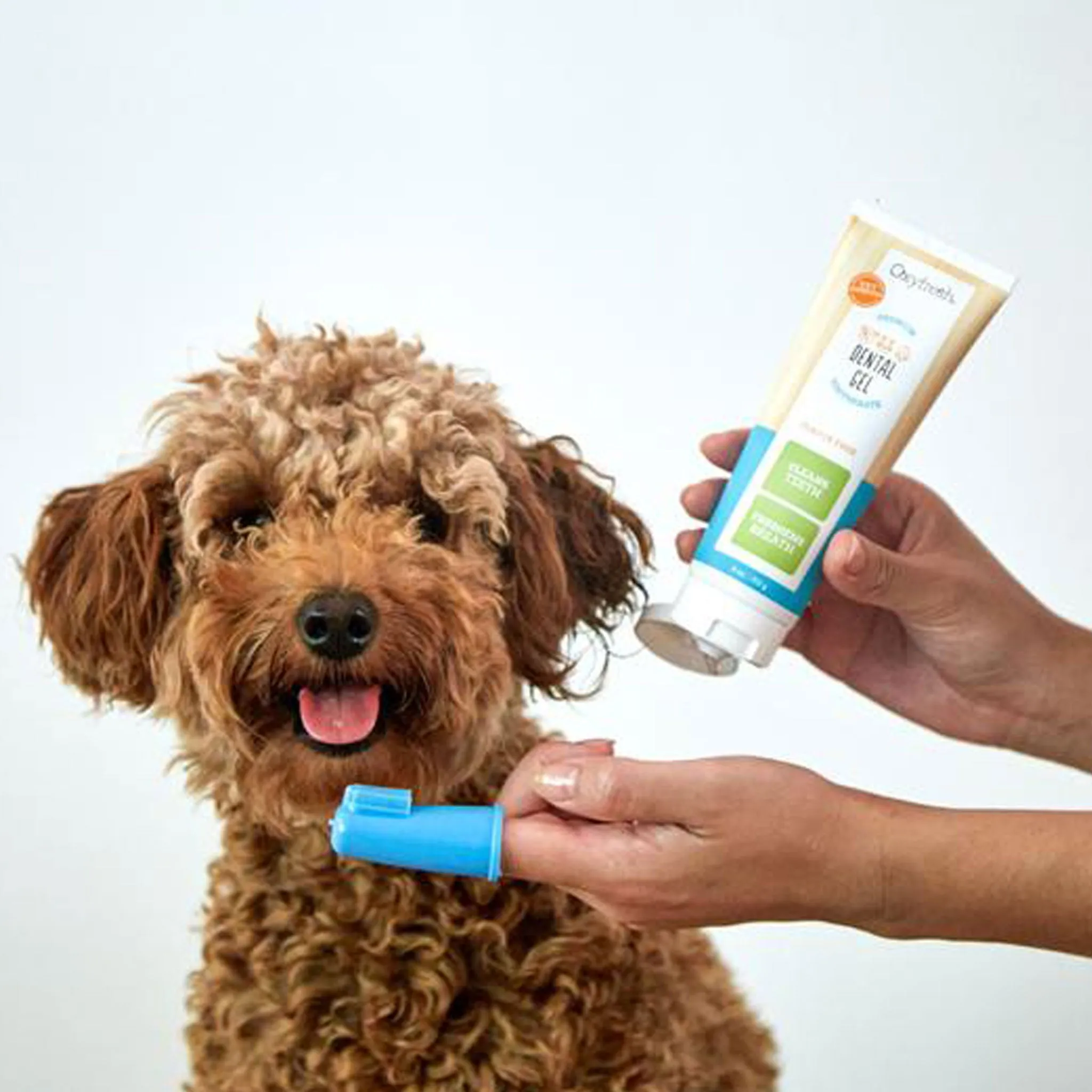 Oxyfresh Pet Toothpaste Finger Brush Kit Oxygene - 4 oz