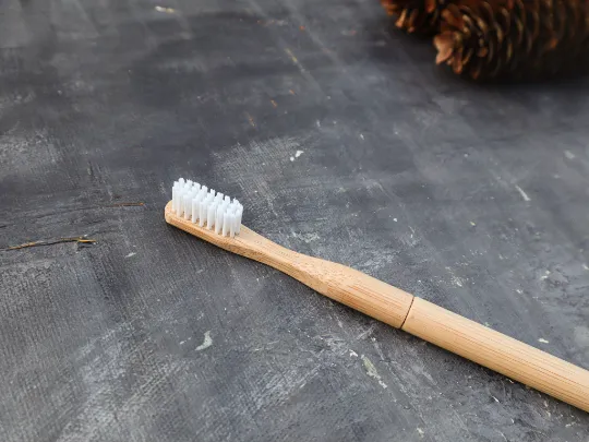 Refillable Bamboo Toothbrush (Canada Only)