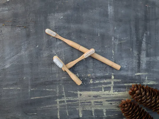 Refillable Bamboo Toothbrush (Canada Only)