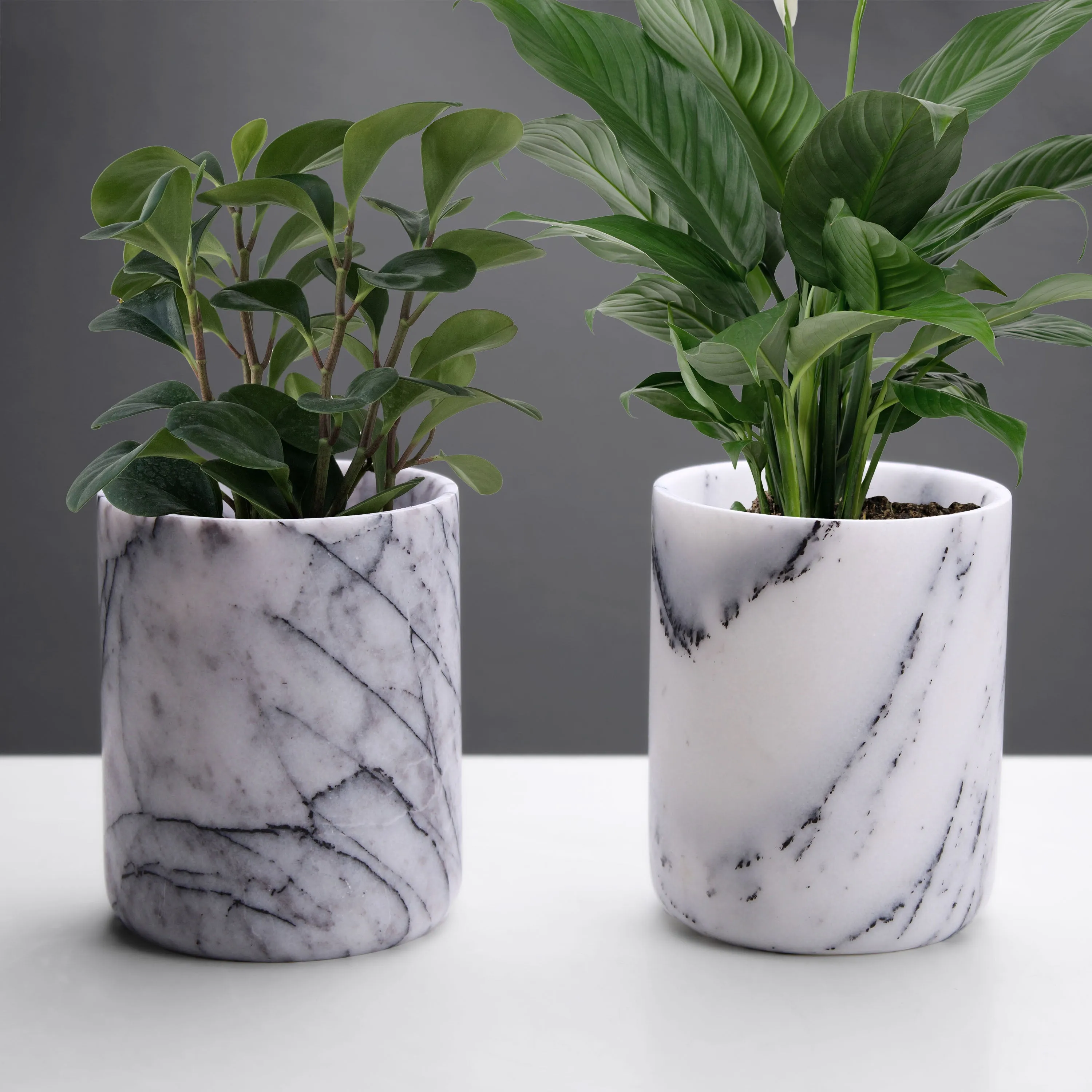 White Marble Toothbrush Holder